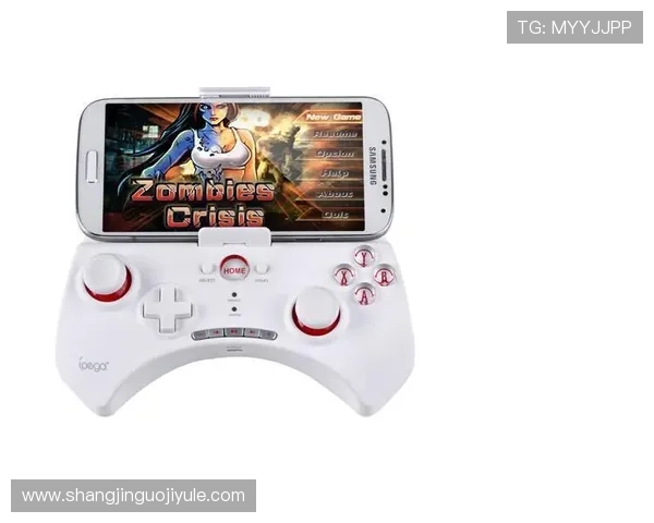 如何安全高效地为PG2游戏手柄更换新电池避免损坏设备