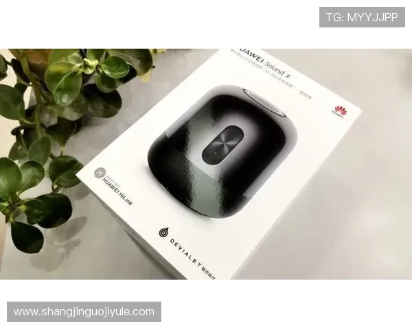 访问PG官方网站链接的最全方法，解决玩家关于登录和游戏体验的所有疑问