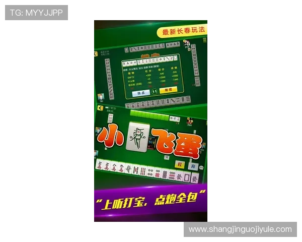 PG麻将手机官网电脑版下载安装指南帮助玩家快速上手畅玩无忧
