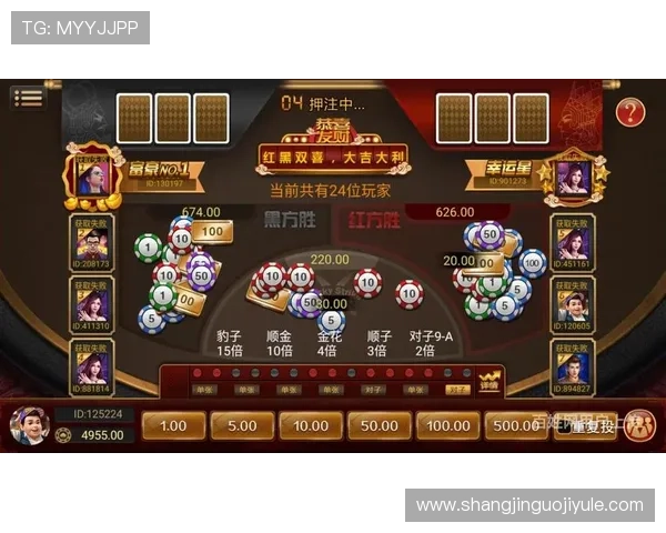 专业PG棋牌搭建平台开发方案详解实现个性化定制满足不同用户的游戏体验需求